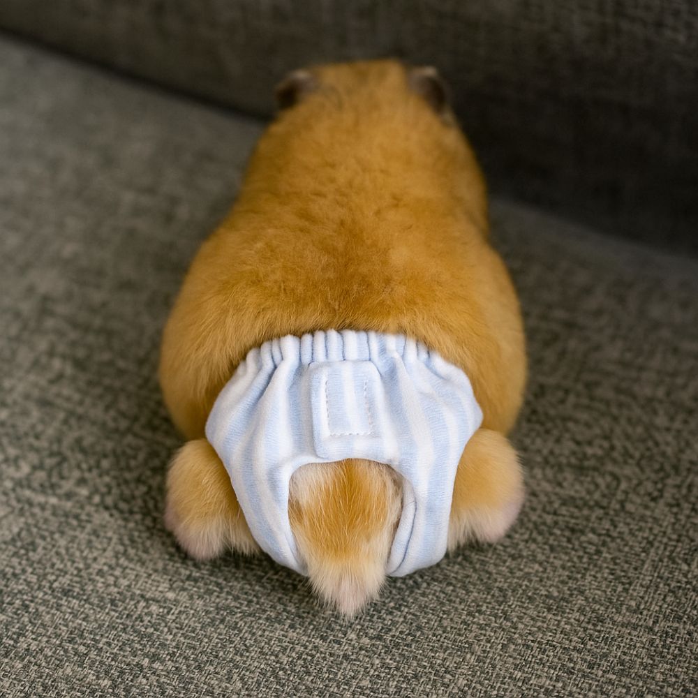 Absorbent Squirrel Diapers Lea - Period Panty Absorbent 评论和价格